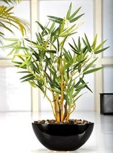 Artificial Bamboo Bonsai Plant in a Ceramic Pot for Home and Office Decor (199 Leafs, 38 cm Tall, Mixed Material, Green) - Image 6