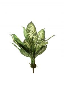 Polyester and Plastic Decorative Artificial Dieffenbachia Bush (15 cm x 15 cm x 52 cm, Dark Green) - Image 2