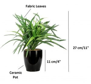 Artificial Dracaena Bonsai 27 cmTall  in a Glazed Ceramic vase(Green and White) - Image 2