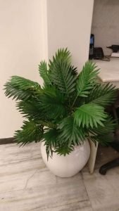 Beautiful Artificial Areca Palm Plant Without Vase (21 Leaves, 75 cm Tall, Green, Set of 2) - Image 3