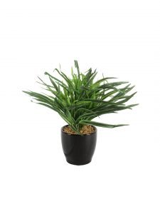 Artificial Dracaena Bonsai 27 cmTall  in a Glazed Ceramic vase(Green and White) - Image 3